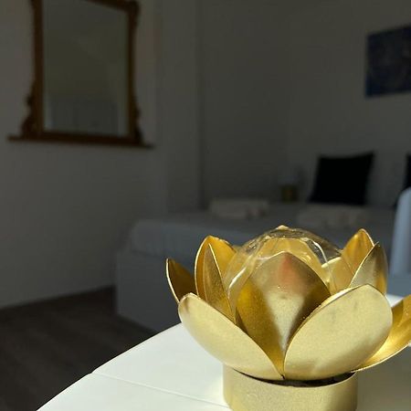 Fior Di Loto Suite - Lingotto Турин Экстерьер фото